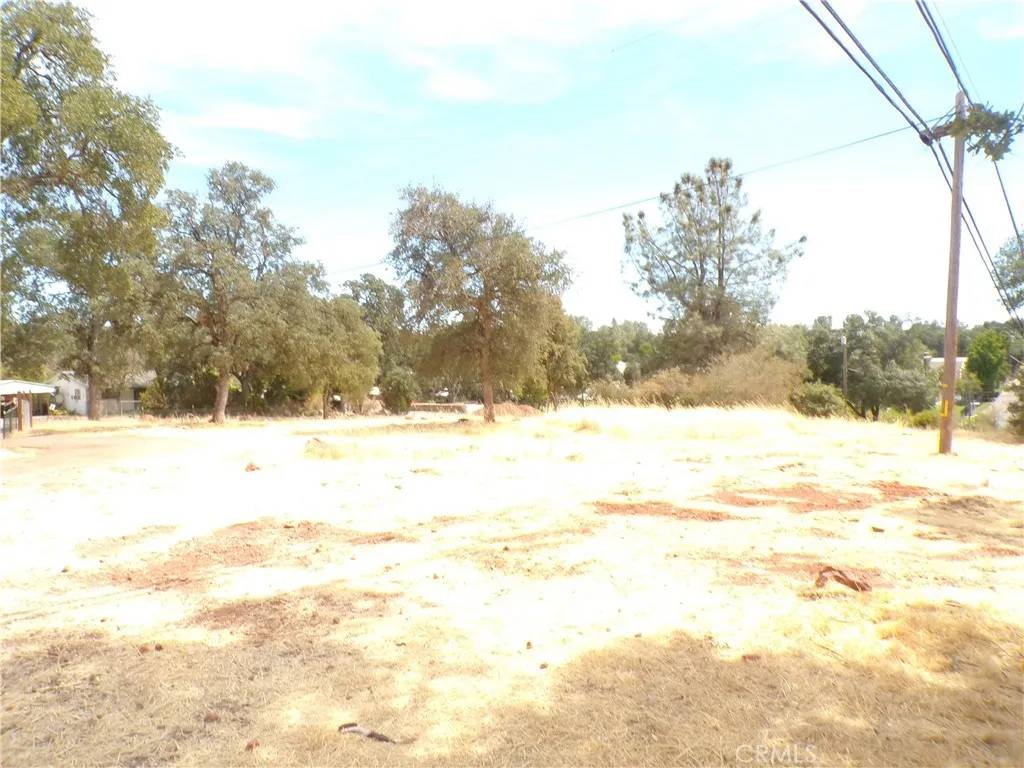 Lower Lake, CA 95457,17530 Morgan Valley