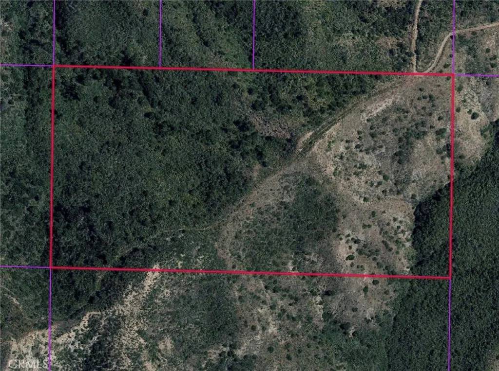 Silverado Canyon, CA 92676,24 Williams Canyon