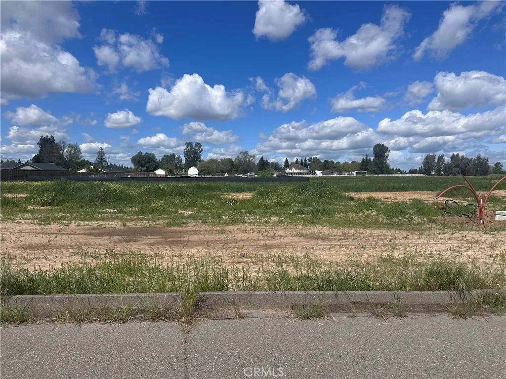 Atwater, CA 95301,0 White Crane