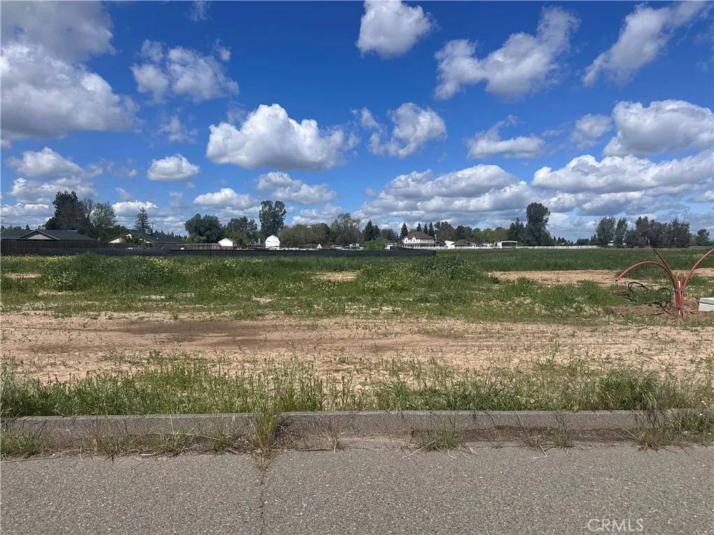 Atwater, CA 95301,0 White Crane