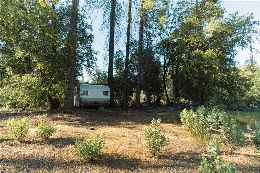 Coulterville, CA 95311,10902 Stout