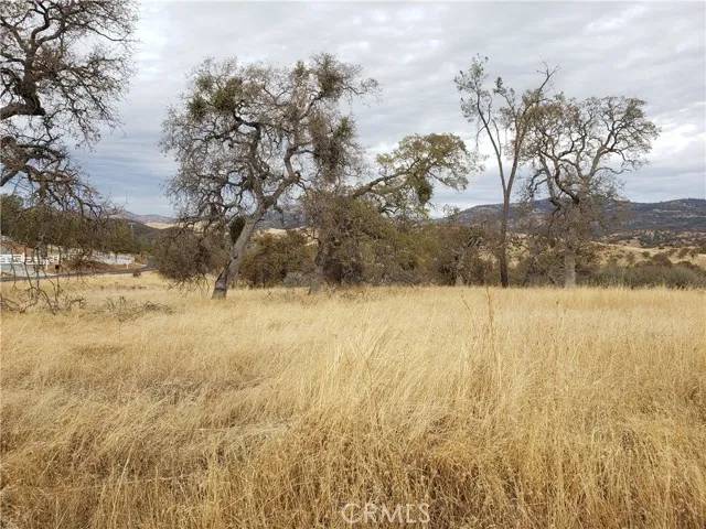 La Grange, CA 95329,5725 Enramada