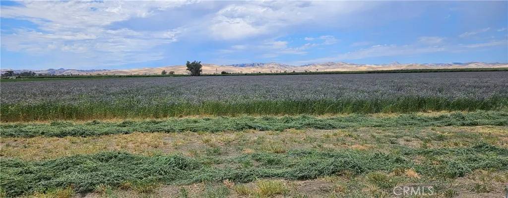 Gustine, CA 95322,26749 Cottonwood