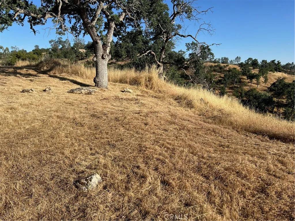 Coarsegold, CA 93614,1578 Lilley Mountain