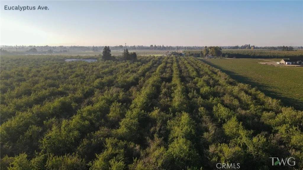 Winton, CA 95388,7190 Eucalyptus