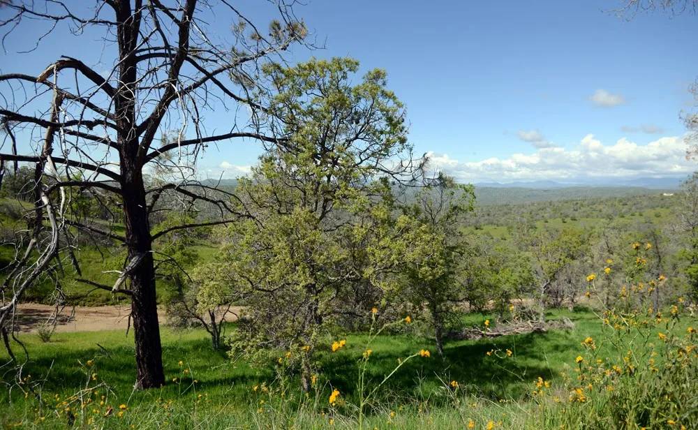 Raymond, CA 93653,0 Misty Ridge
