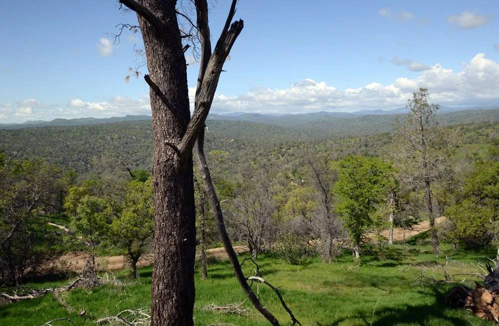 Raymond, CA 93653,0 Misty Ridge
