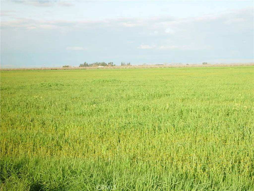 Chowchilla, CA 93610,1 ROAD 18 3/4