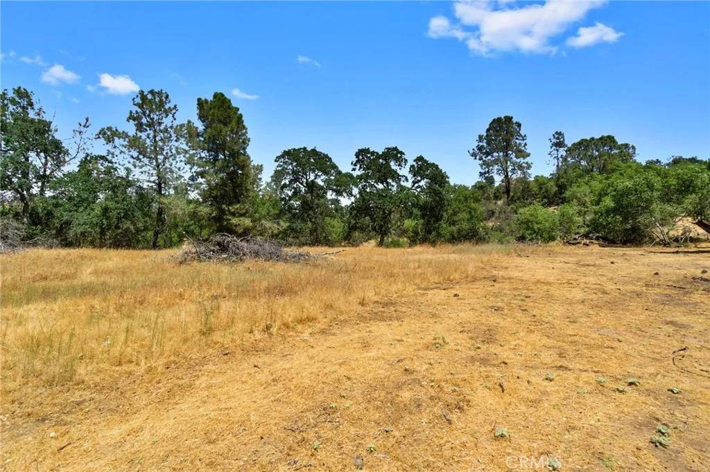 Coarsegold, CA 93614,1812 Sentinel Ct