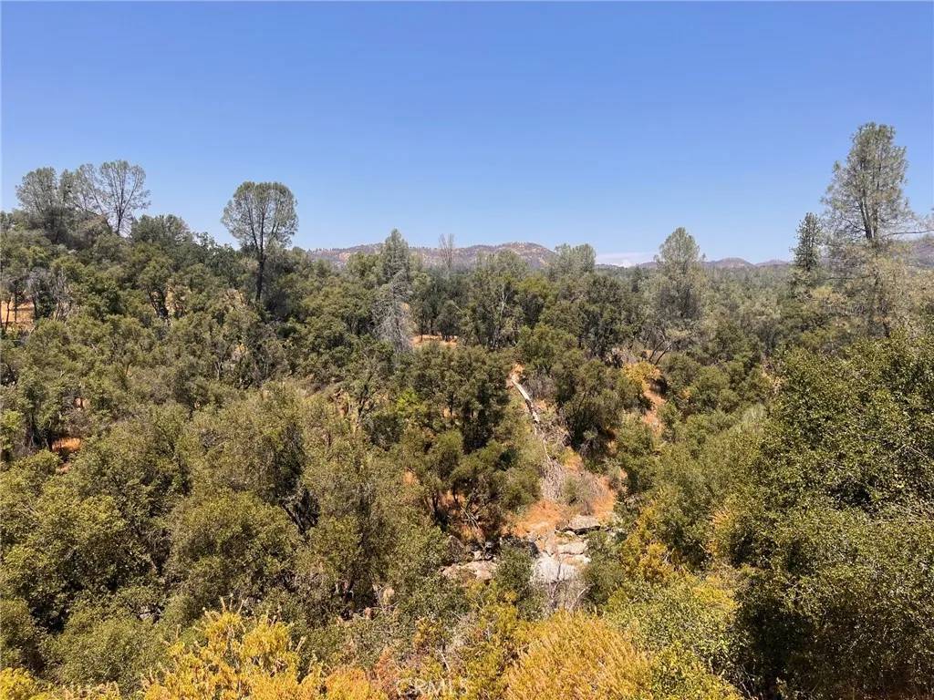 Mariposa, CA 95338,3993 Snow Creek Road
