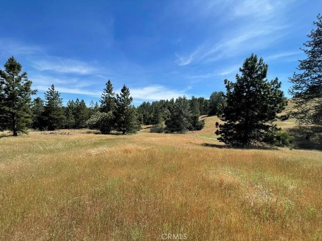 Mariposa, CA 95338,0 Triangle Road