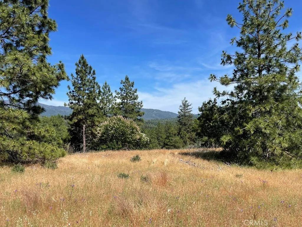 Mariposa, CA 95338,0 Triangle Road