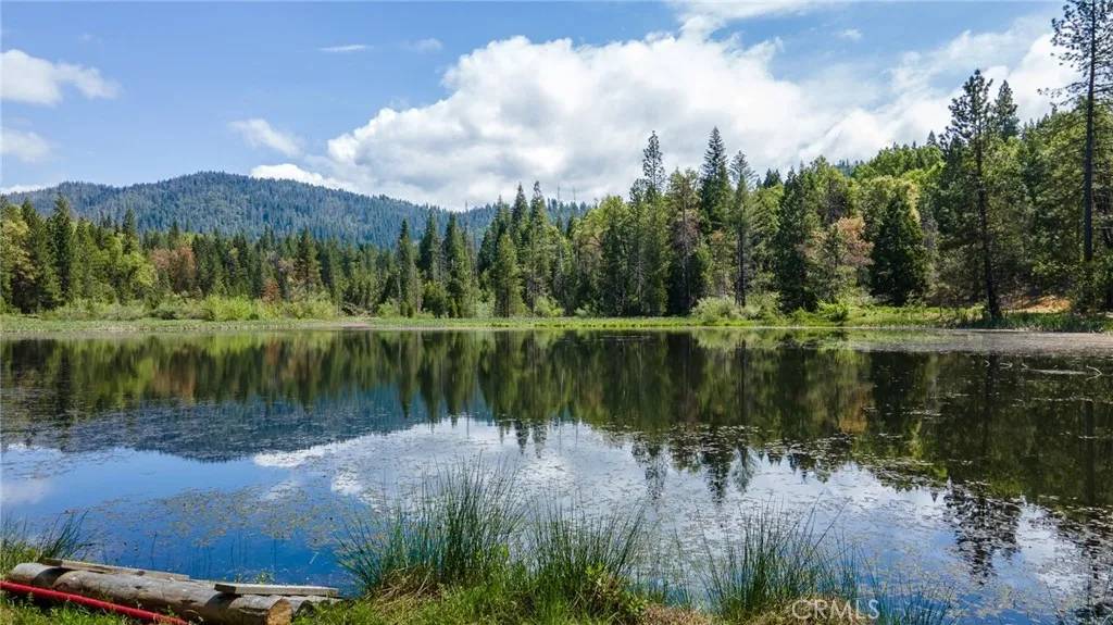 Ahwahnee, CA 95338,5657 Worman Road