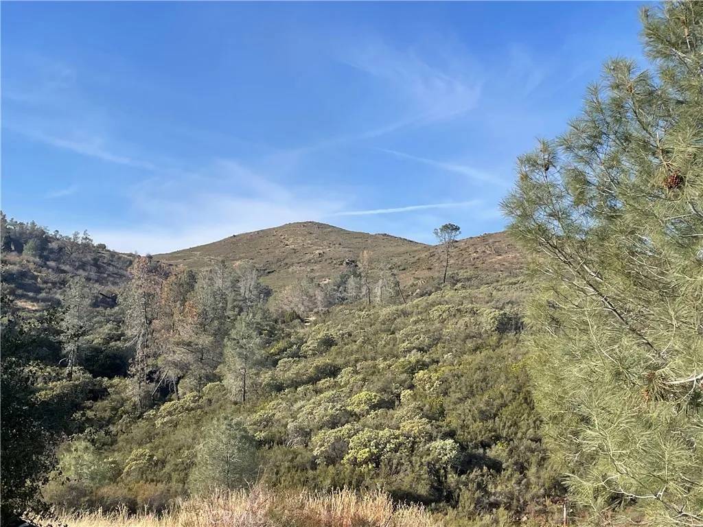 Mariposa, CA 95338,4747 Bear Valley