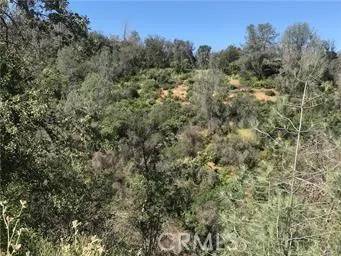 Mariposa, CA 95338,4521 Alamo Creek