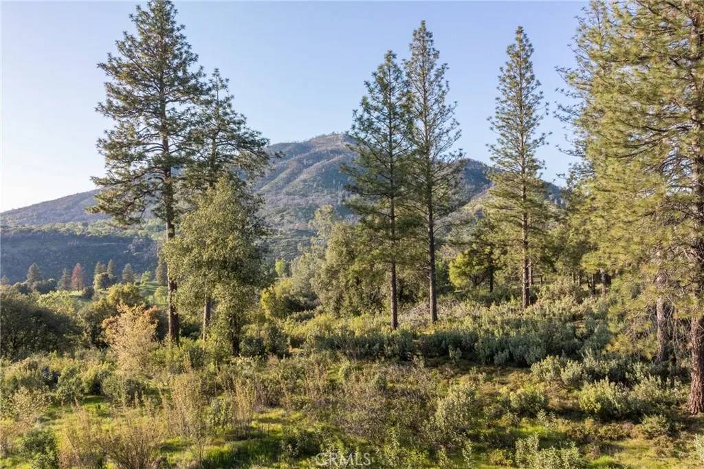 Mariposa, CA 95338,3433 Sterling