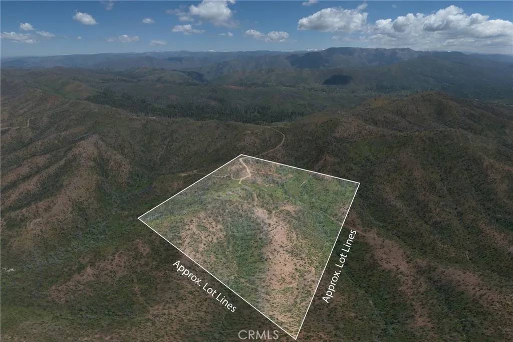 Mariposa, CA 95338,39 Buckingham Mountain