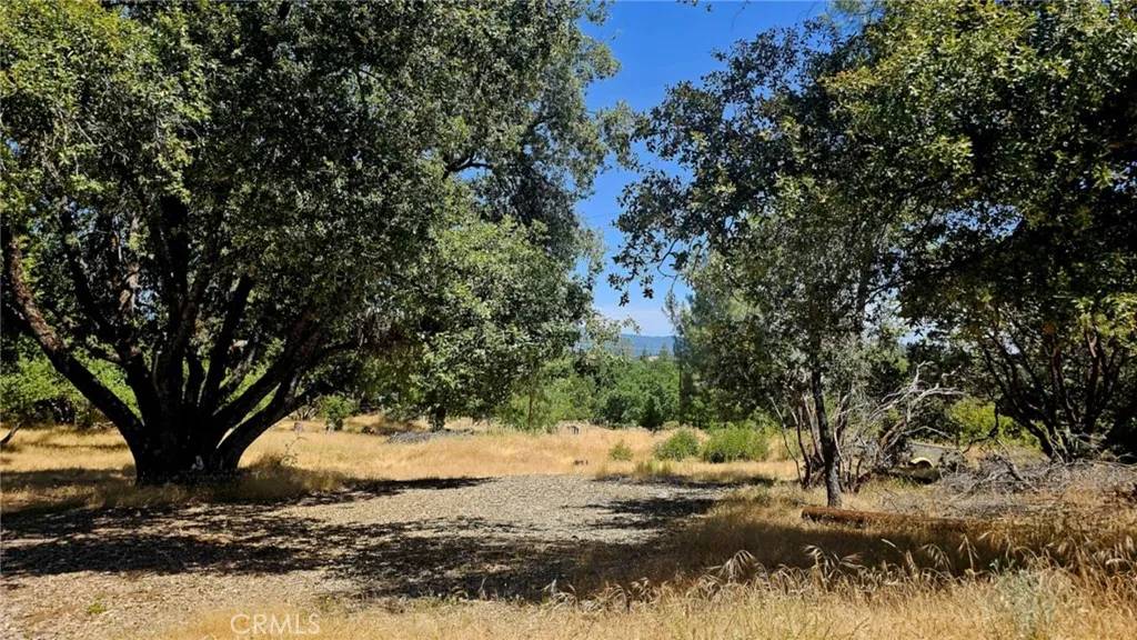 Mariposa, CA 95338,5430 Clouds Rest