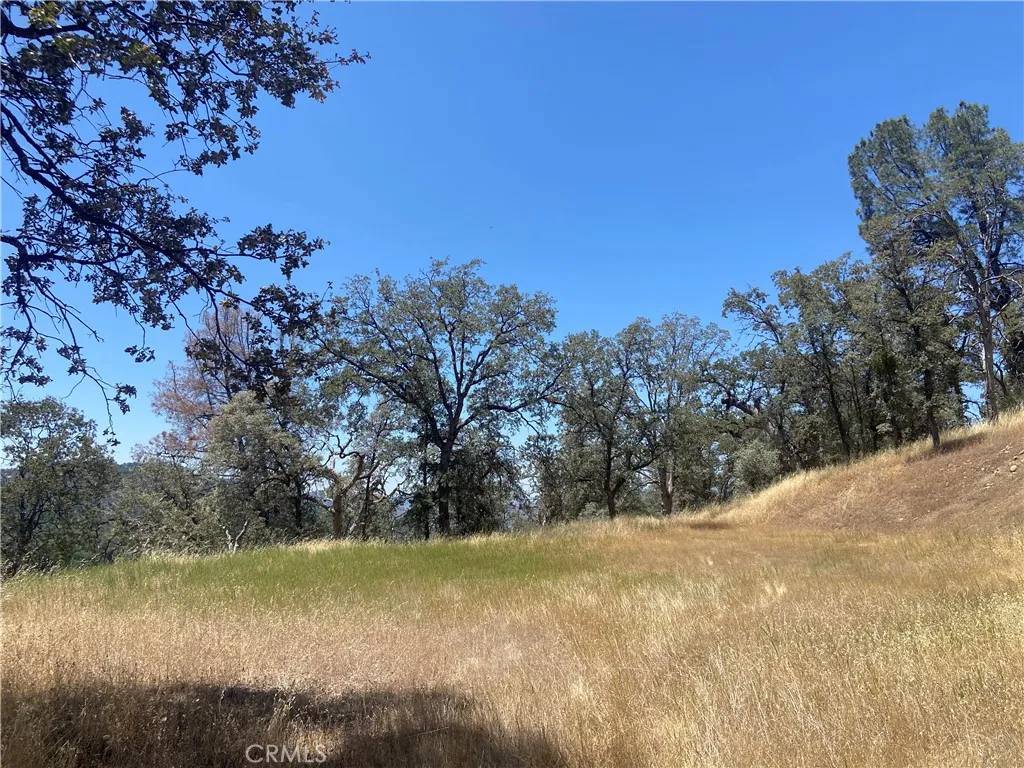 Mariposa, CA 95338,5737 Colorado
