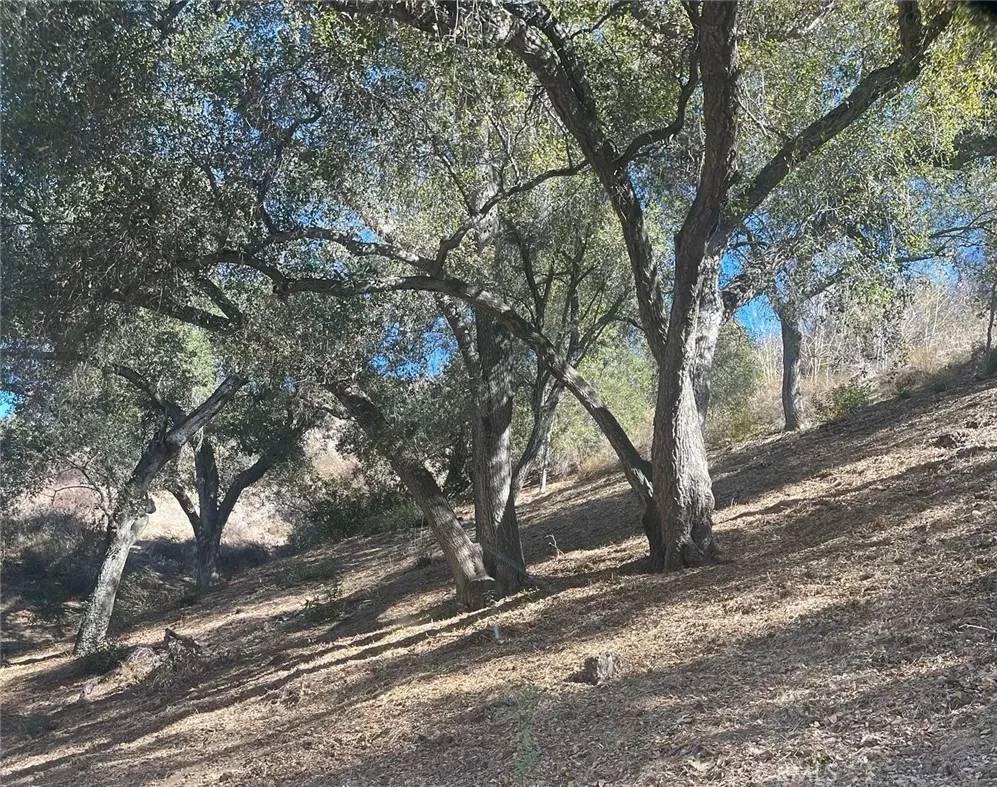 Fallbrook, CA 92028,0 Stewart Canyon