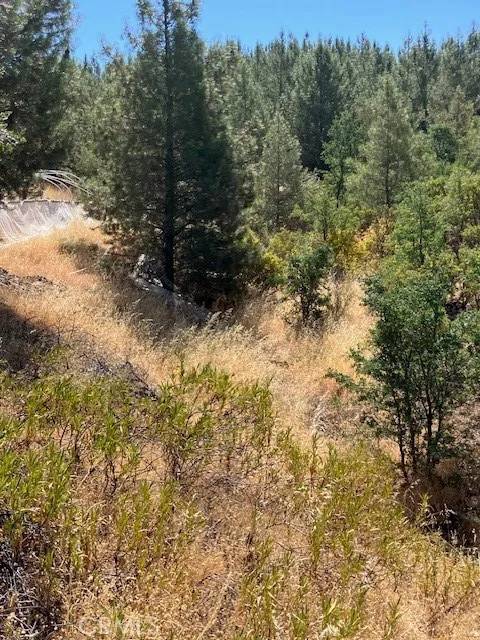 Bella Vista, CA 96008,0 Backbone