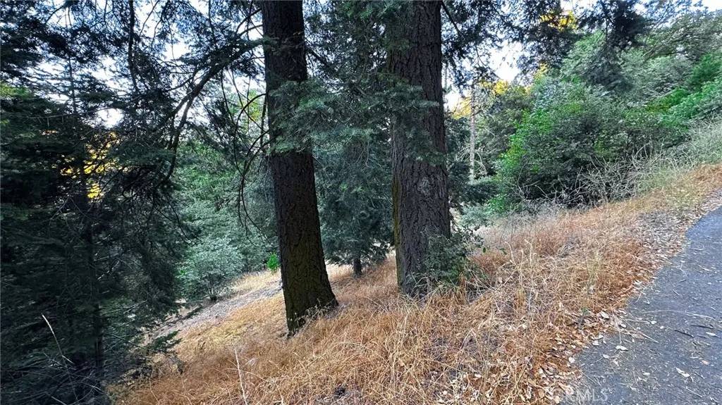 Berry Creek, CA 95916,0 Trillium
