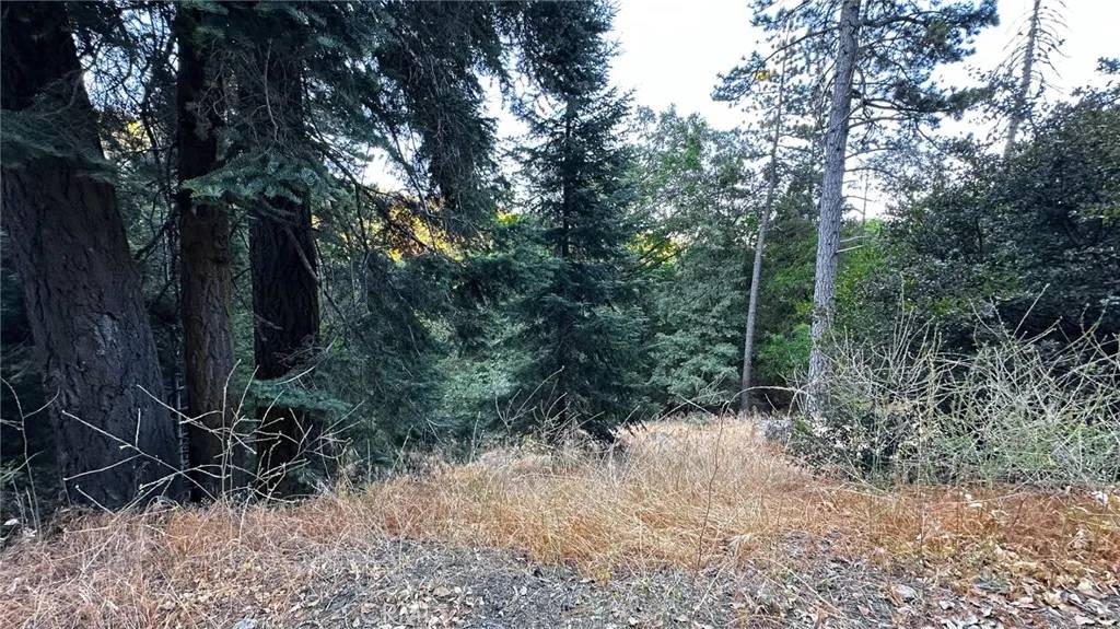 Berry Creek, CA 95916,0 Trillium
