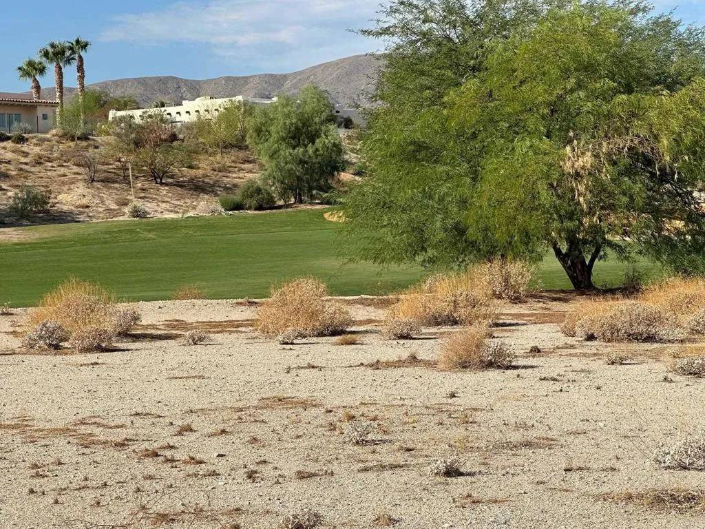 Borrego Springs, CA 92004,0 Roadrunner