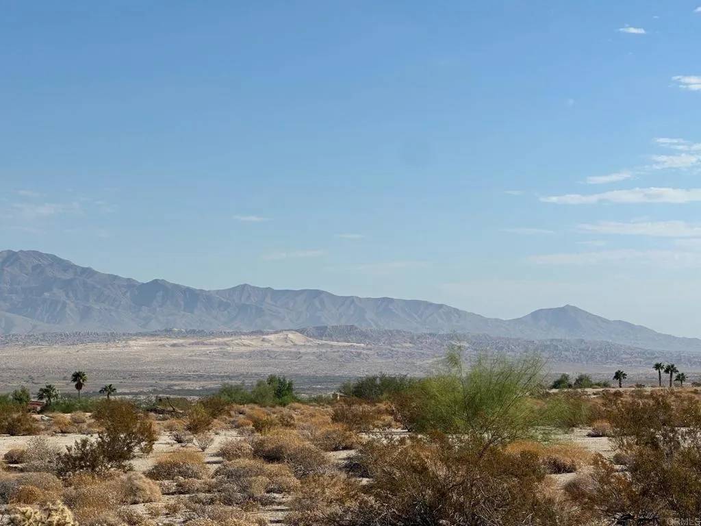 Borrego Springs, CA 92004,0 Roadrunner