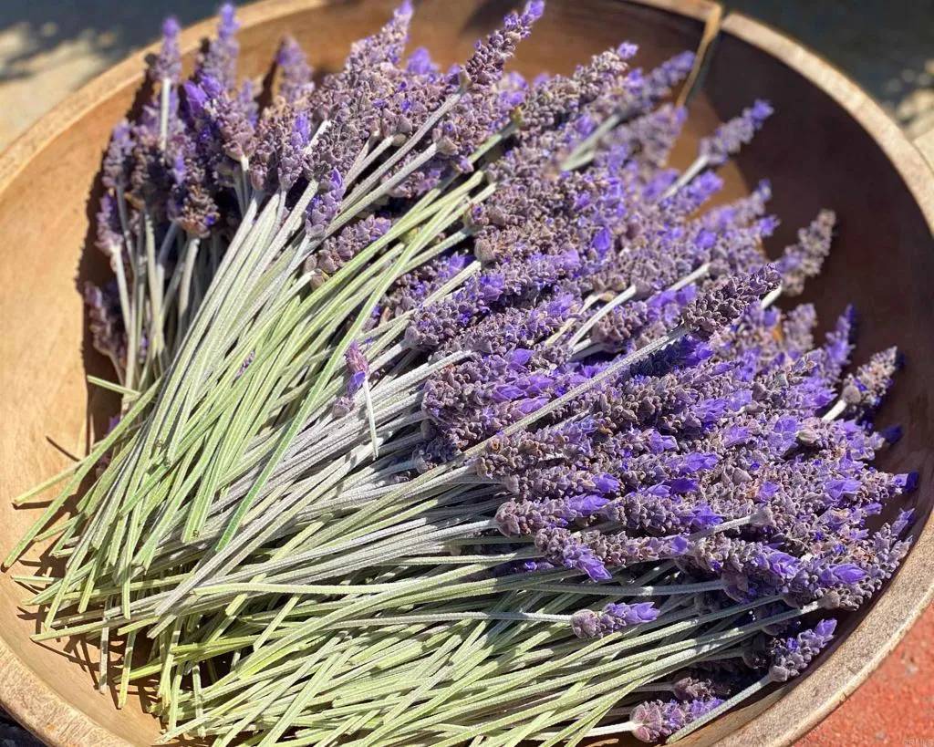 Lakeside, CA 92040,0 Muth Valley