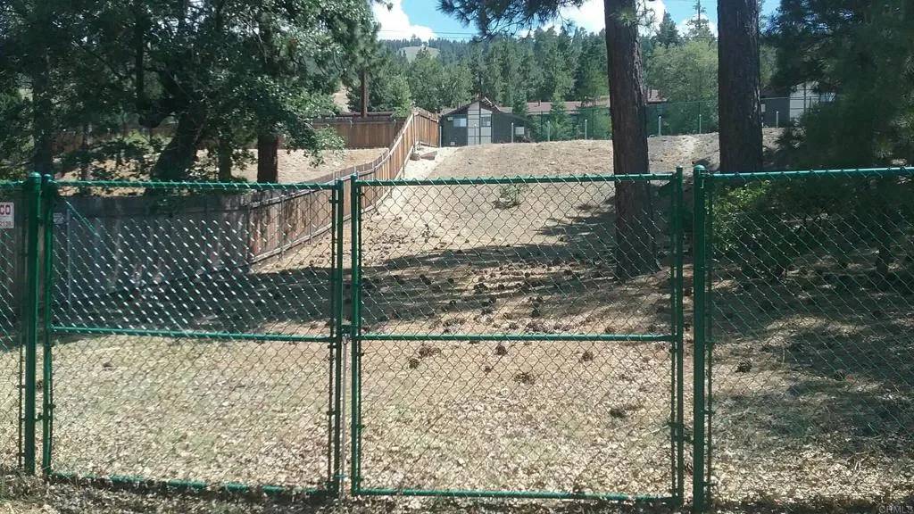 Big Bear, CA 92315,0 Switzerland Dr