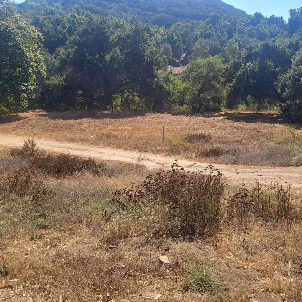 Fallbrook, CA 92028,0 De Luz Murrieta