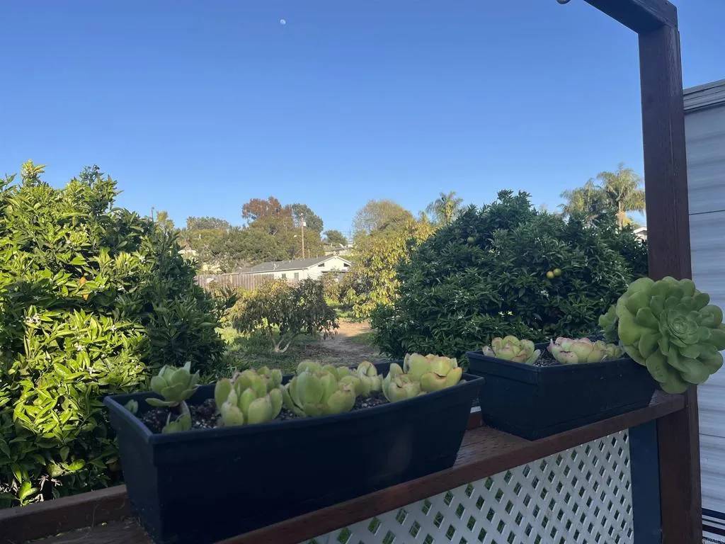 Encinitas, CA 92024,523 N Vulcan #35