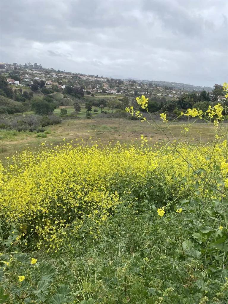 Oceanside, CA 92056,0 Oceanview Road