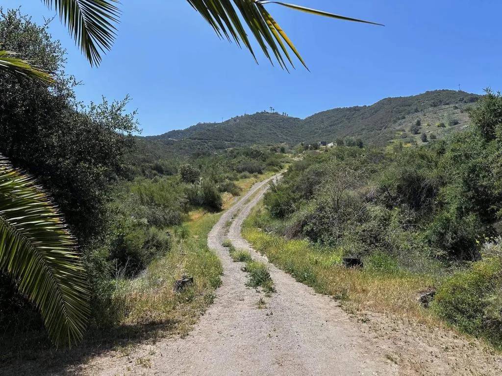 Fallbrook, CA 92028,10355 Alex