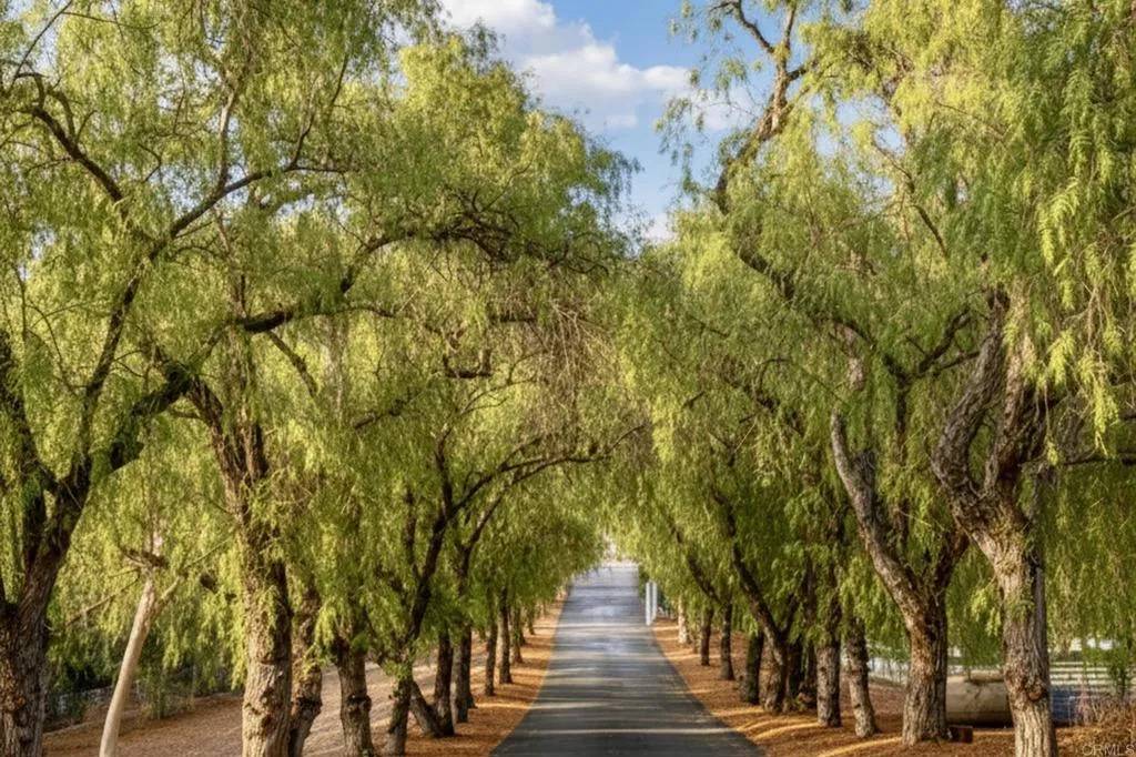 Fallbrook, CA 92028,145 Yucca Road