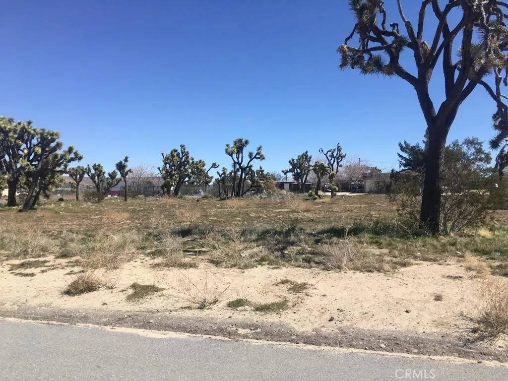Yucca Valley, CA 92284,7199 Grand
