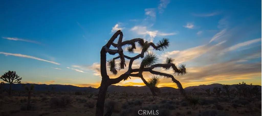 Joshua Tree, CA 92252,0 Farimont