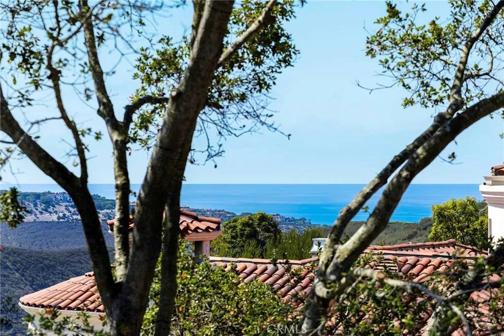 Newport Coast, CA 92657,4 Clearview