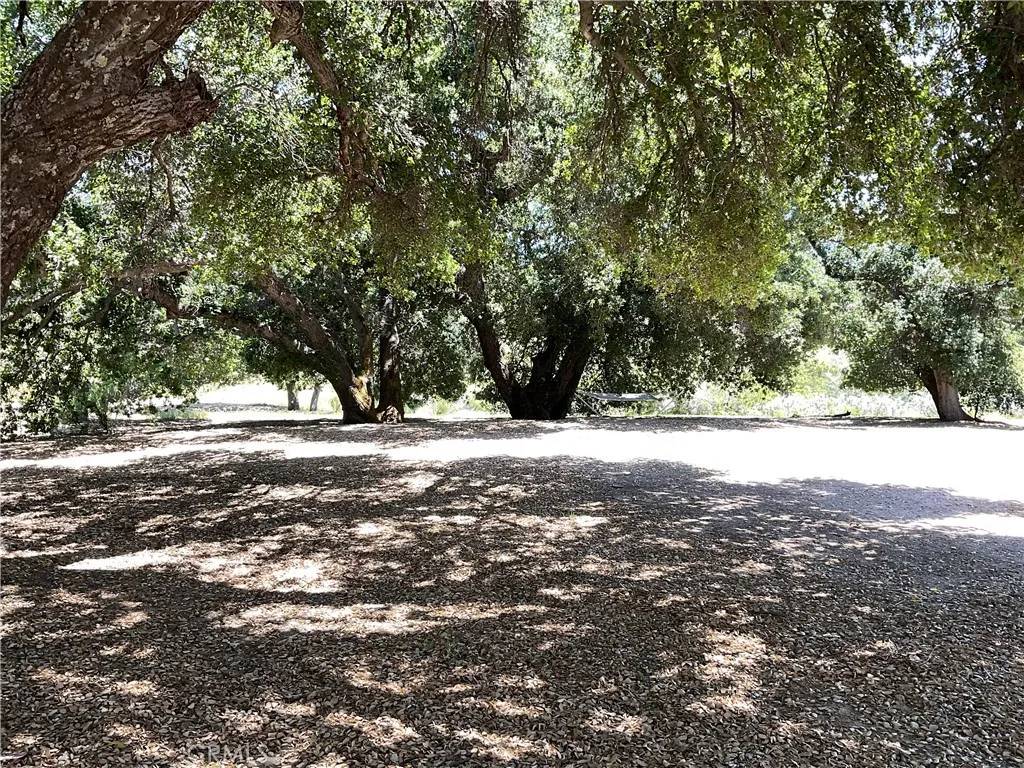 Bradley, CA 93426,76352 Bryson Hesperia