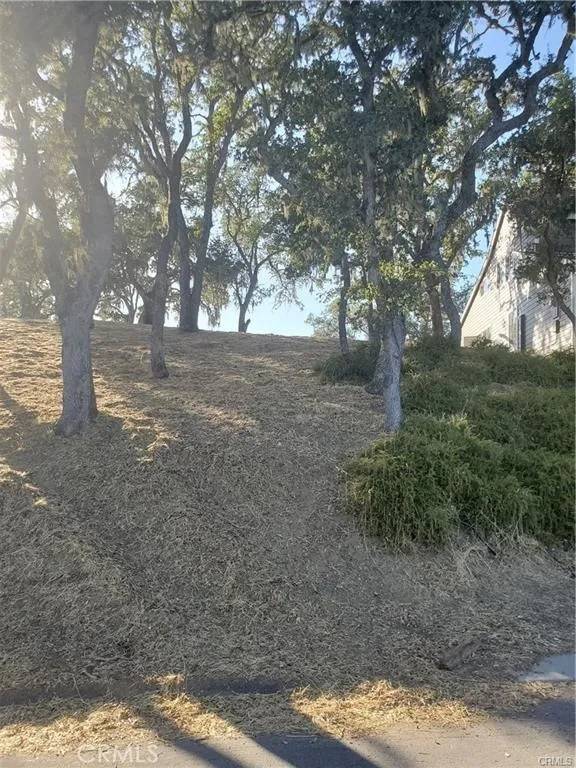 Bradley, CA 93426,2446 Captains