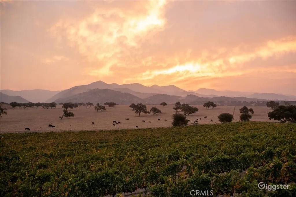 Los Olivos, CA 93441,6893 Foxen Canyon