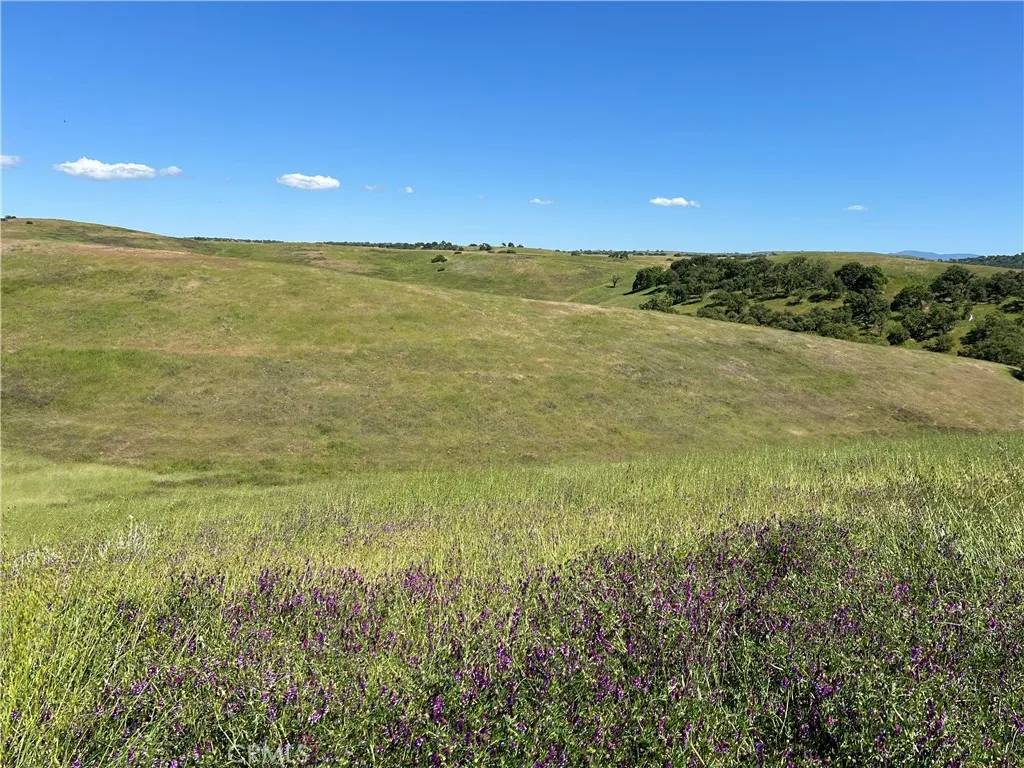 Paso Robles, CA 93446,0 Unnamed