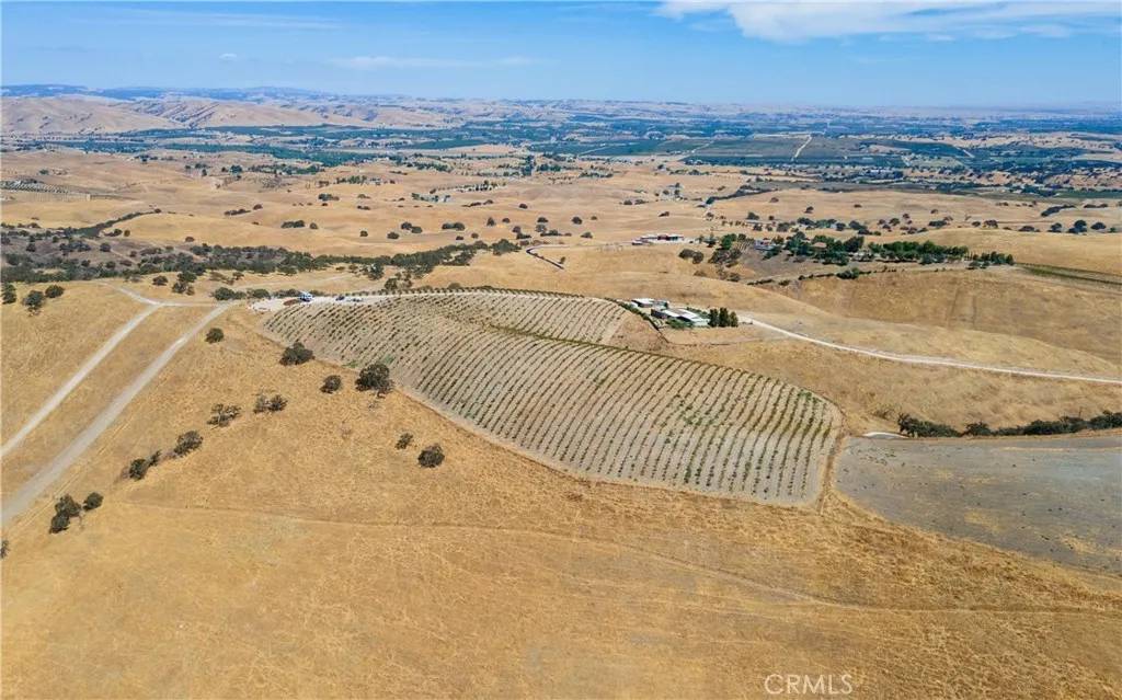 Paso Robles, CA 93446,20 Nonpariel