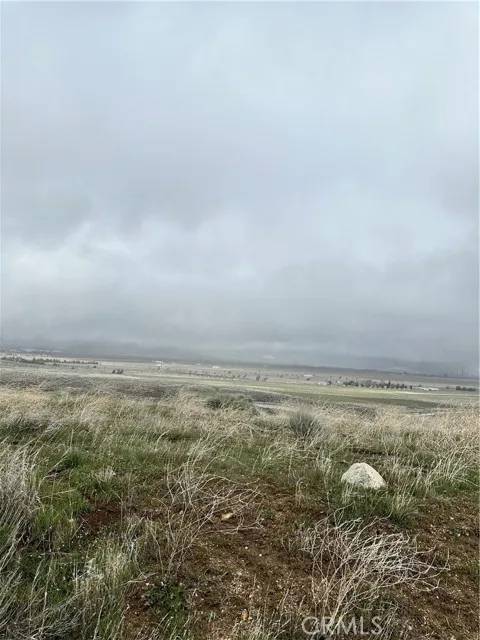 Tehachapi, CA 93561,0 Dotty