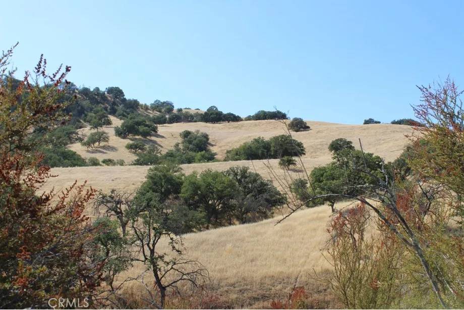 San Miguel, CA 93451,71901 Vineyard Canyon Road