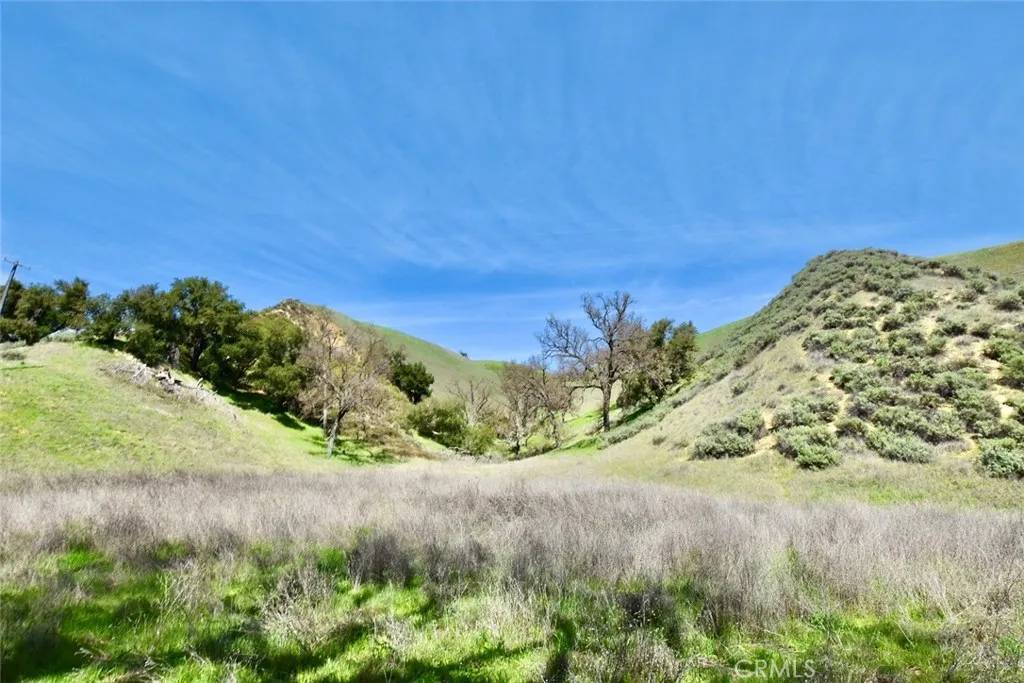 Bradley, CA 93426,74921 Copperhead