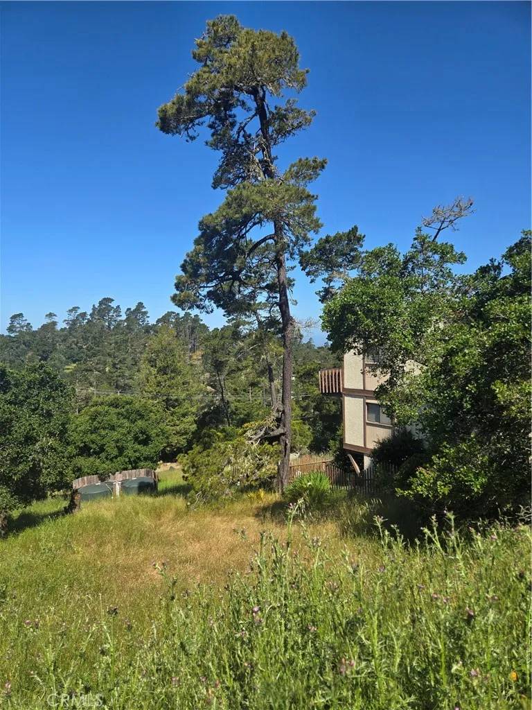 Cambria, CA 93428,0 Pierce