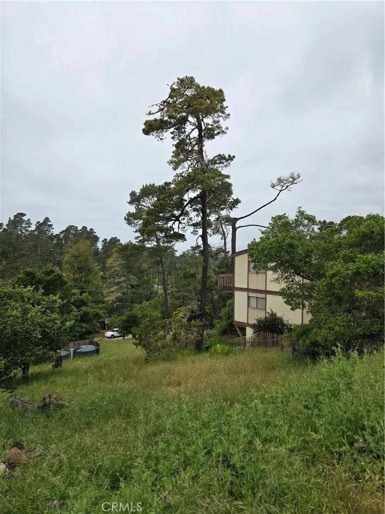 Cambria, CA 93428,0 Pierce