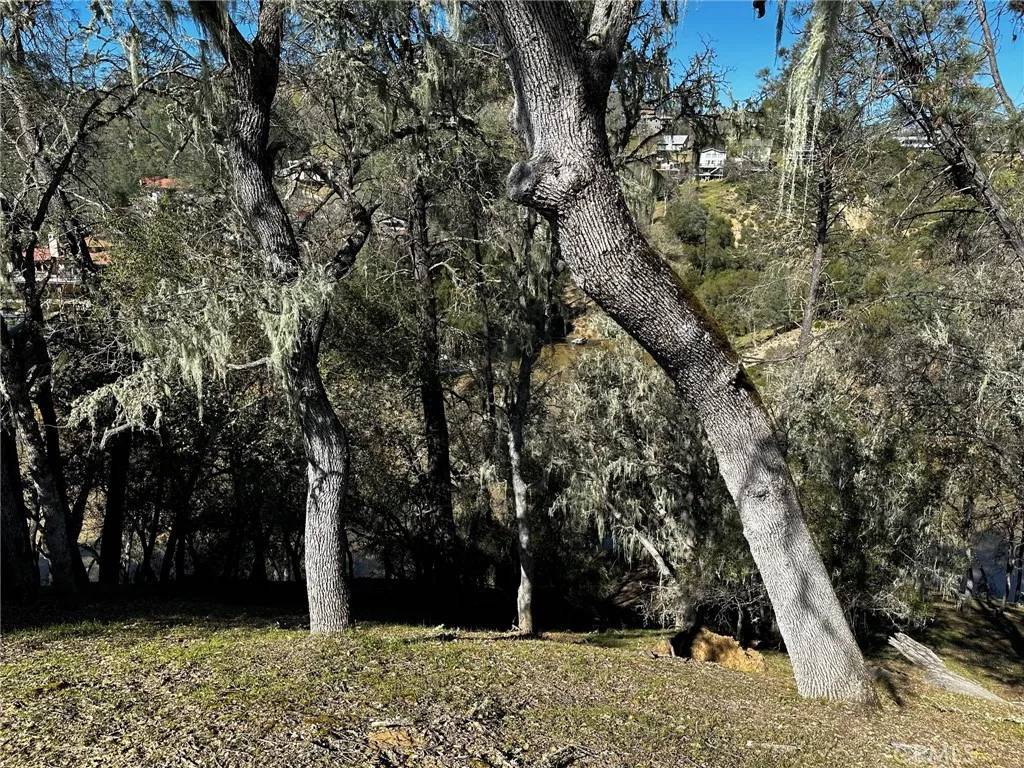 Bradley, CA 93426,8209 Woody Point